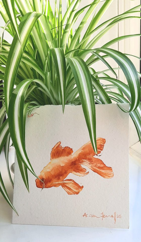 Swishy Soul - Fish Watercolour