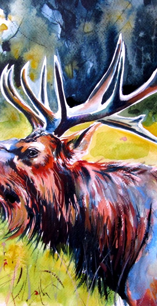 Stag roar IV by Kovács Anna Brigitta