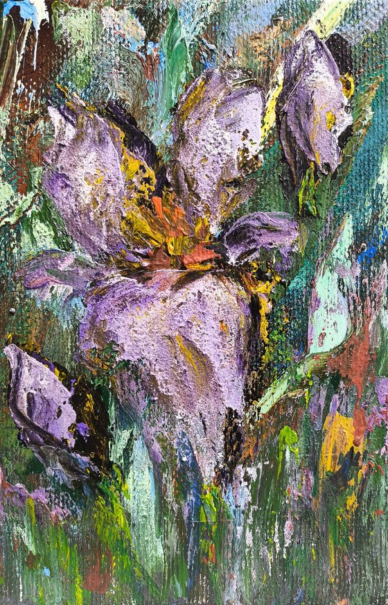 Violet in Bloom