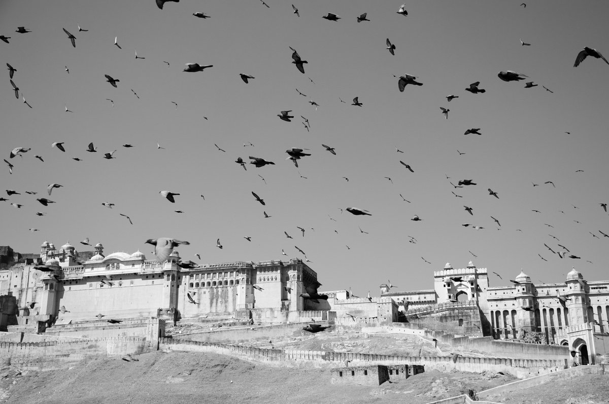 Photorealistic Photograph , Soaring Above Amer Fort By Serge Horta, 60 X 40, Artwork For Sale On Artfinder