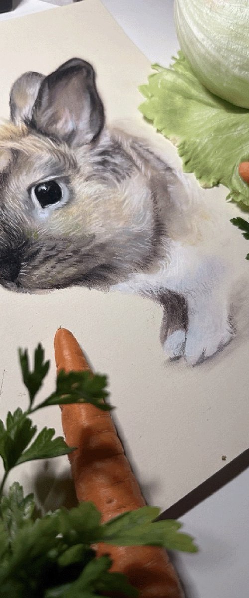 Portrait of a cute rabbit by Julia Shilo