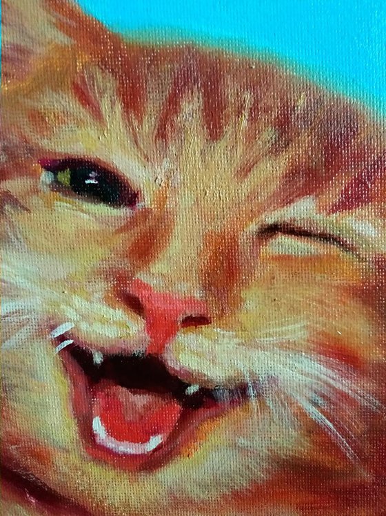 Funny sly cat