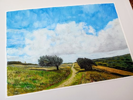 Country Path - A4