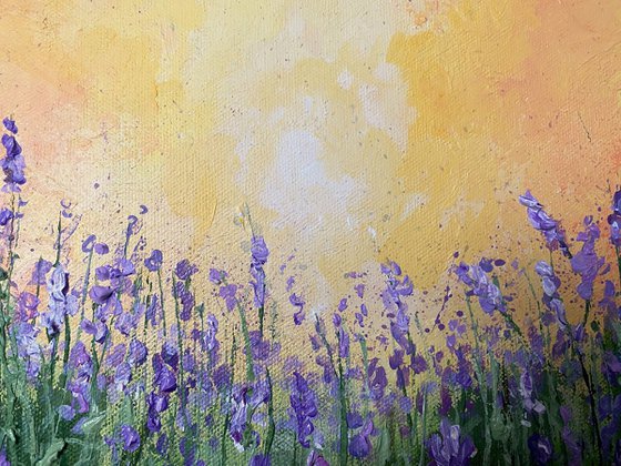 Lavender Dream