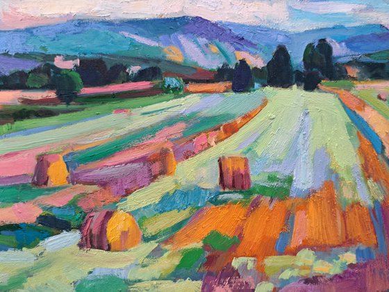 Golden Fields of Tuscany