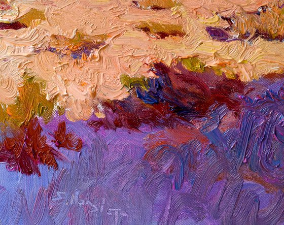 Evening Shades of the Desert