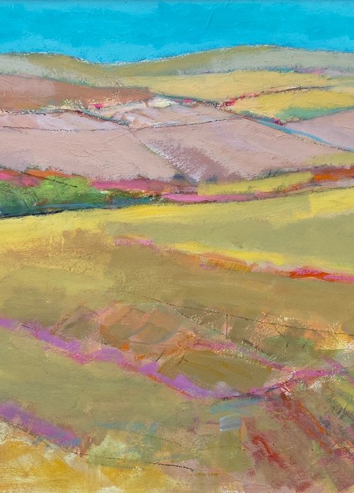 The Yellow Meadow by Chrissie Havers