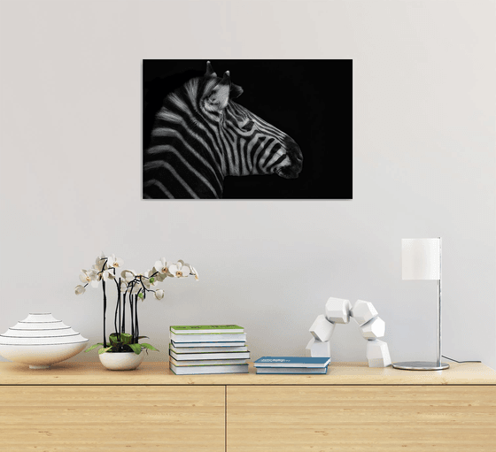 Zebra head