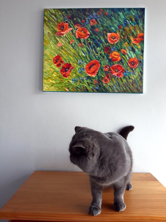 Poppy meadow