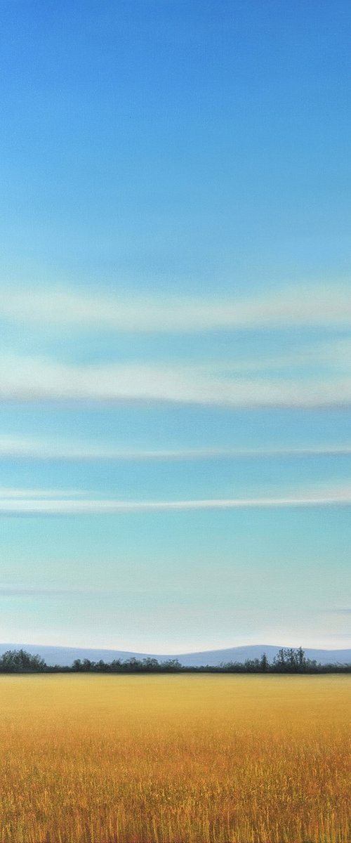 Summer Day - Blue Sky Landscape by Suzanne Vaughan