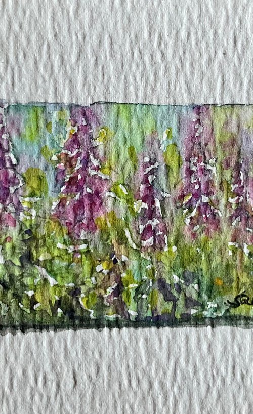 Row of foxgloves by Samantha Adams