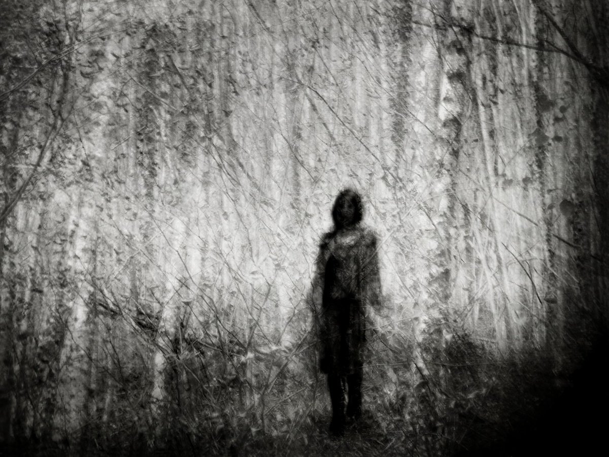 Clair-obscur..... by Philippe berthier