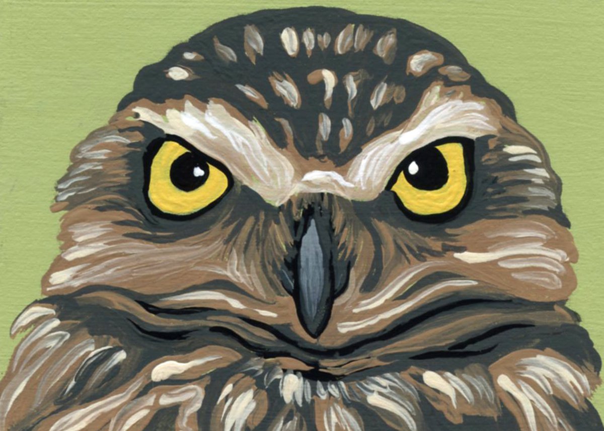 ACEO ATC Original Miniature Painting Burrowing Owl Bird Wildlife Art-Carla Smale by carla smale