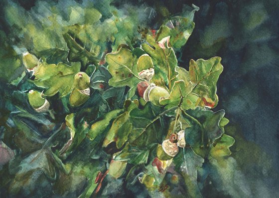 Acorn Season