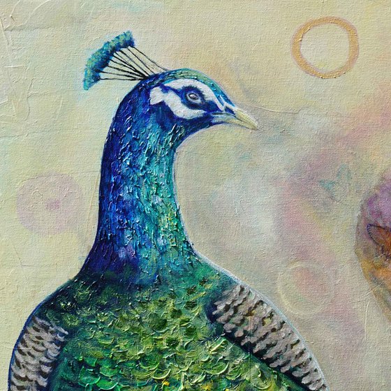 Peacock’s Secret Garden