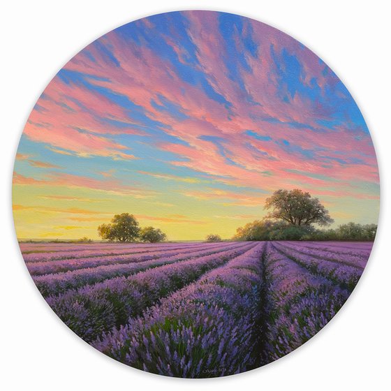 Lavender dreams