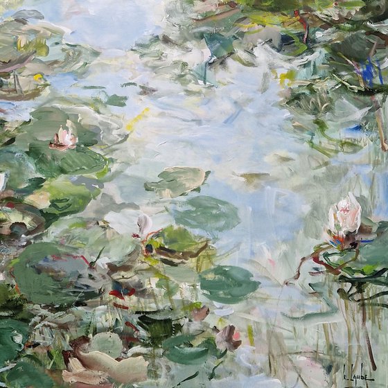Water lily pond I