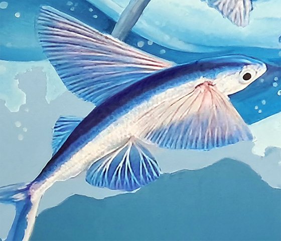 FLYING FISH