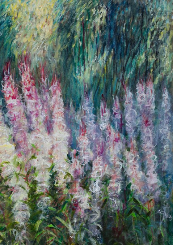 Willowherbs