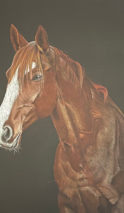 The Chestnut Horse by Jo P