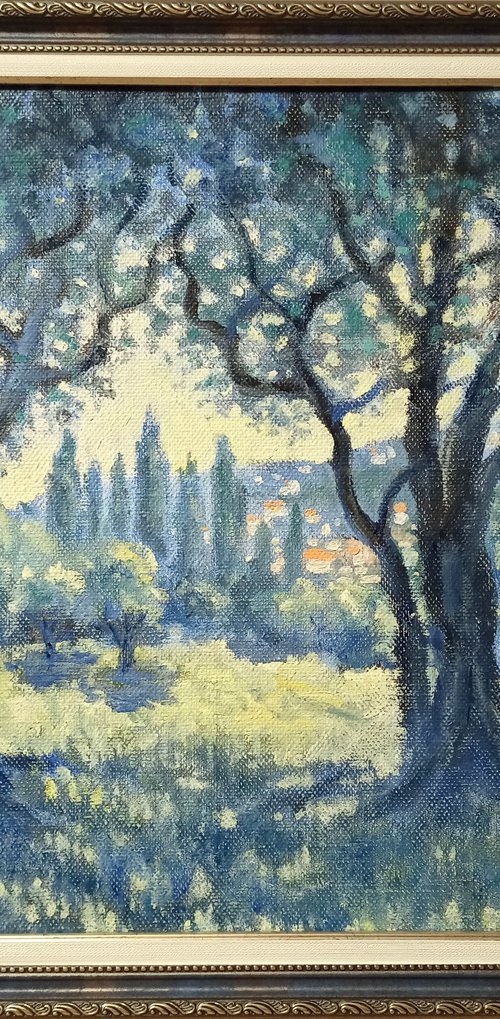 Olive grove in the south of France by Oleh Rak