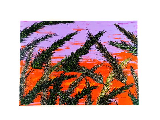 Grass In Purple Color