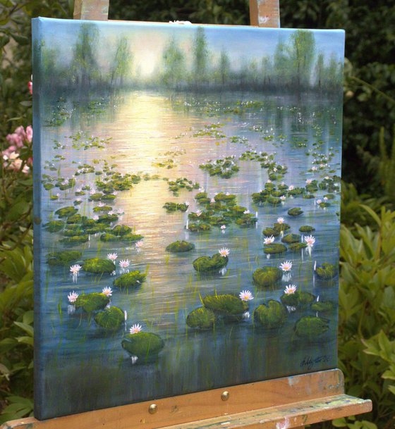Lilies pond