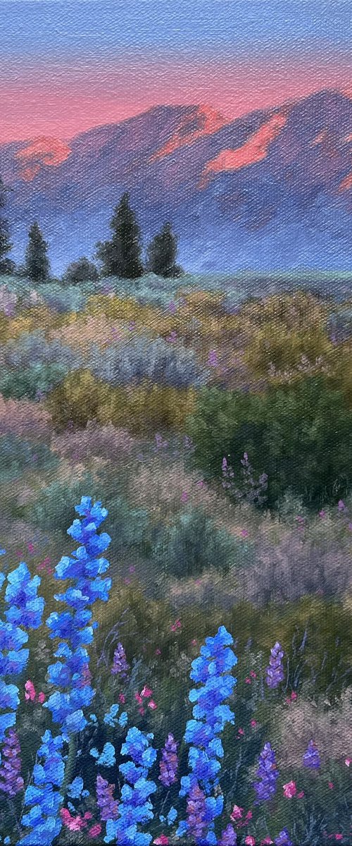 Wild Evening by Olya Lane