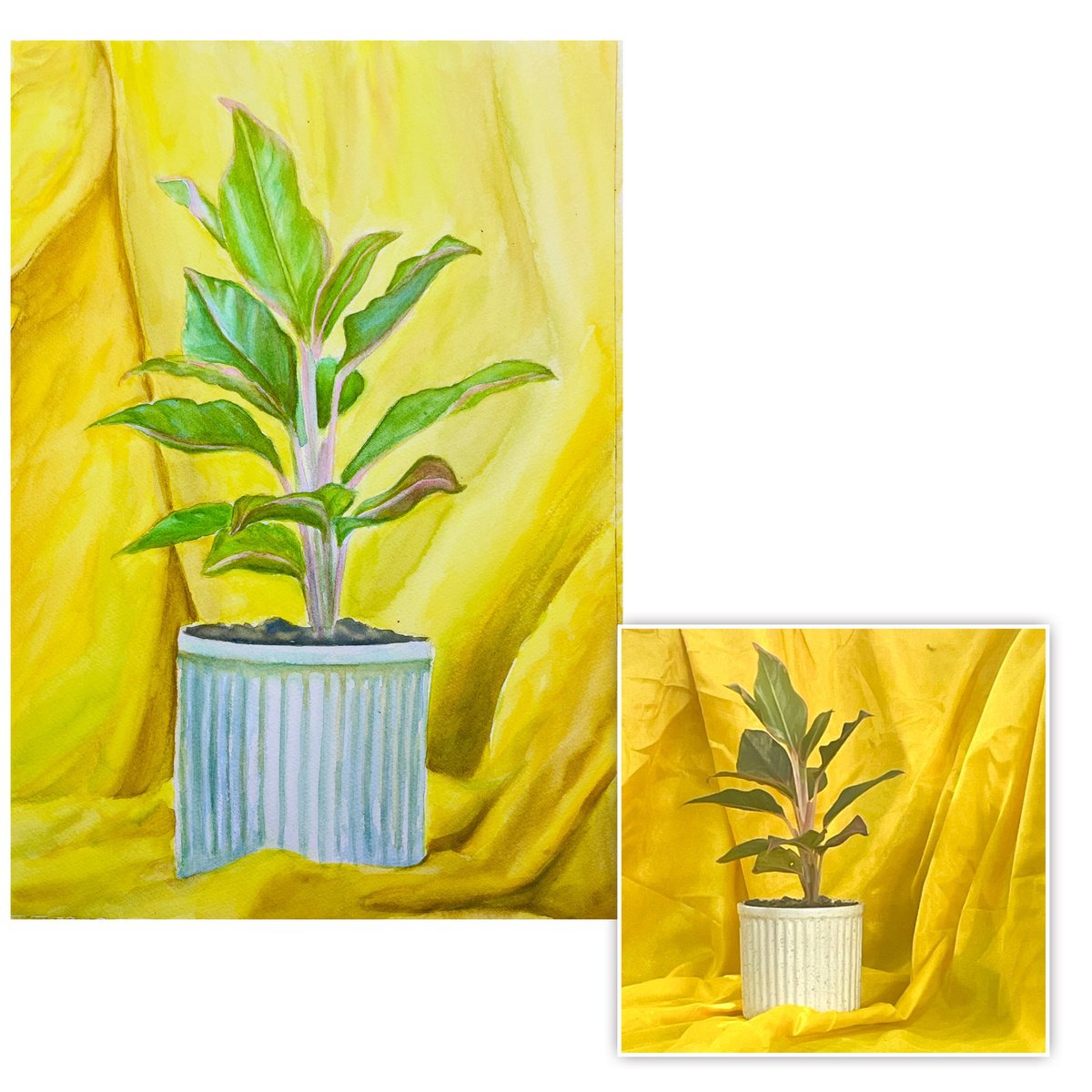 Impressionistic Botanical Watercolour By Neha Soni, 12 X 16", A Plant & Pot, Original Artwork