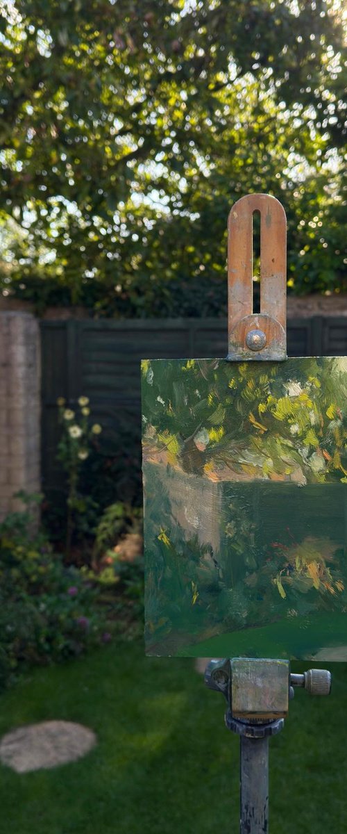 Autumn Morning, Back Garden by Alex James Long