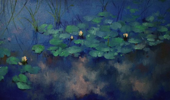 Lily pond. Reflection