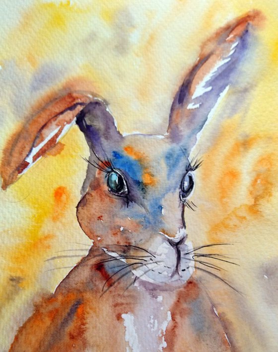 Rabbit in colour