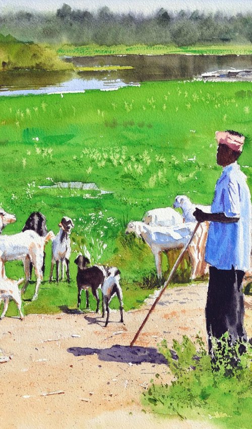 Goats' Day Out by Ramesh Jhawar