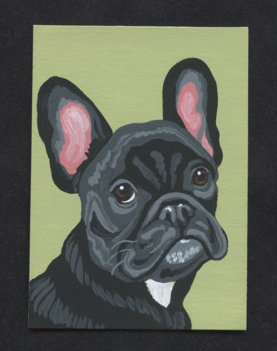 ACEO ATC Original Miniature Painting Black French Bulldog Pet Dog Art-Carla Smale