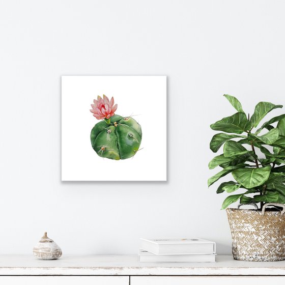 Cactus with a red flower. A series of original watercolour artwork.