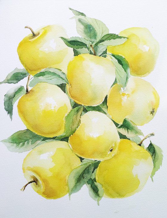 Yellow apples, watercolor illustration