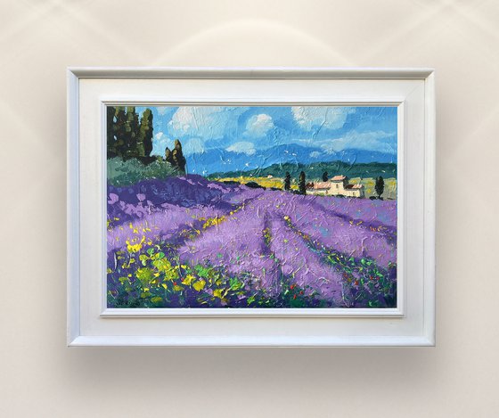 Tuscan Lavender Field