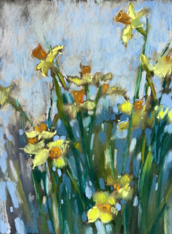 Spring flowers. Daffodils
