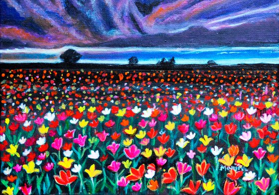 Floral fields Tulips at sunset