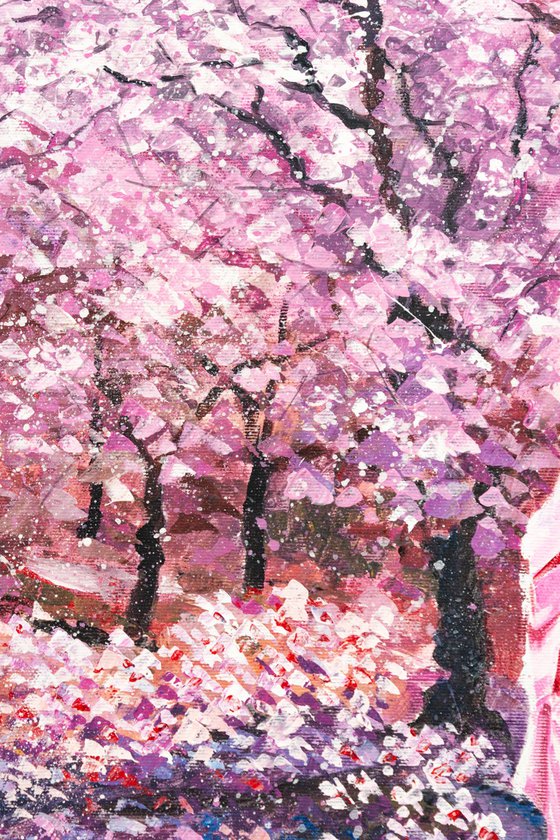 Blooming cherry