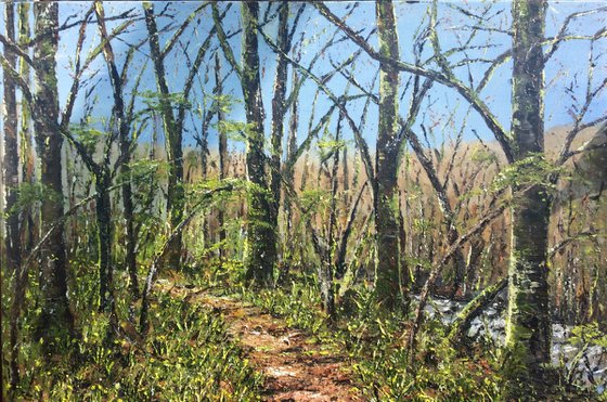 Early Spring, Dunsford Woods (large ready to hang oil painting)