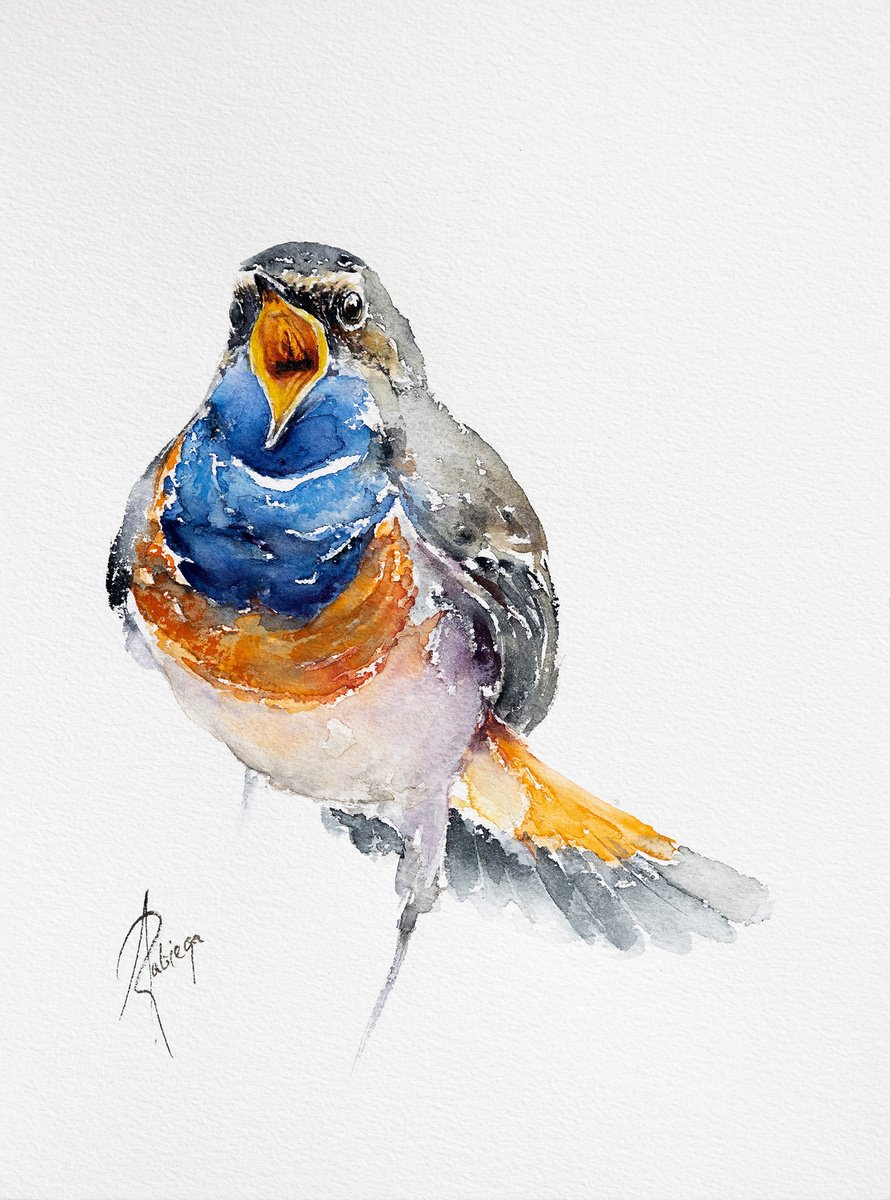 Animal Watercolour By Andrzej Rabiega, 9 X 12, Bluethroat, Original Artwork