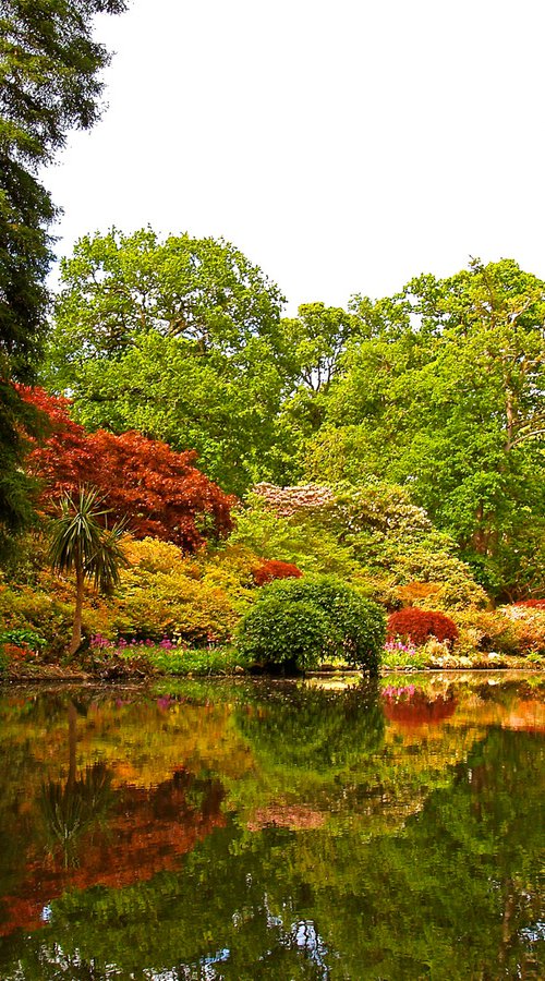 Springtime at Exbury Gardens by Alex Cassels