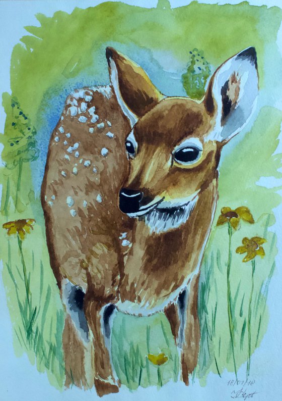 The Fawn