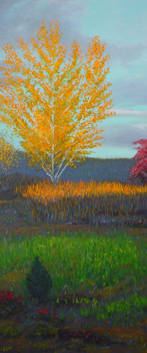 Fall Tree by Mark Peterson