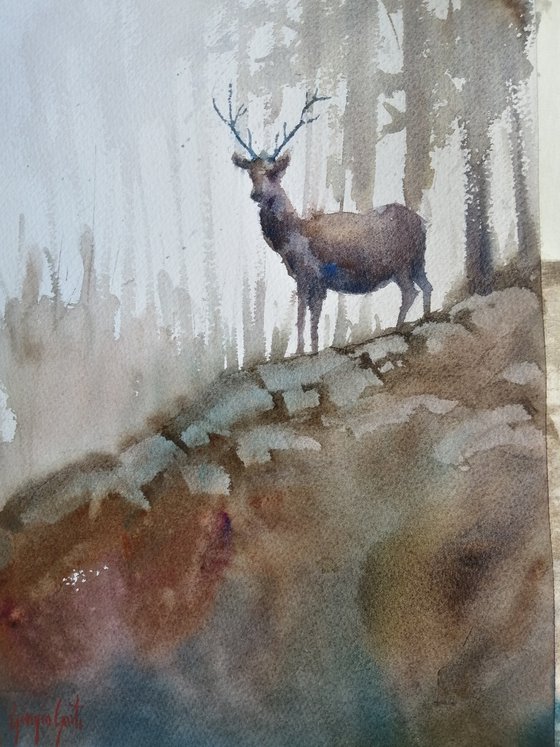 deer 9
