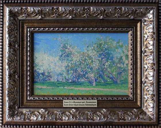 Apple blossom. Kolomenskoye