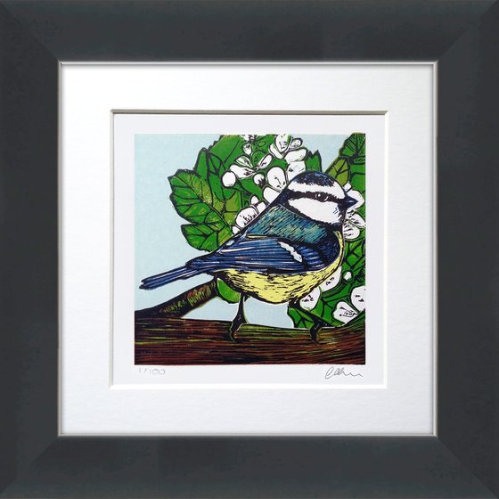 Blue tit-  linocut print framed and ready to hang