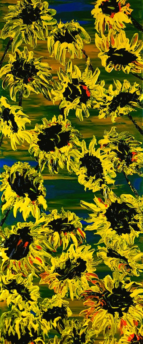 Blooming sunflowers by Daniel Urbaník