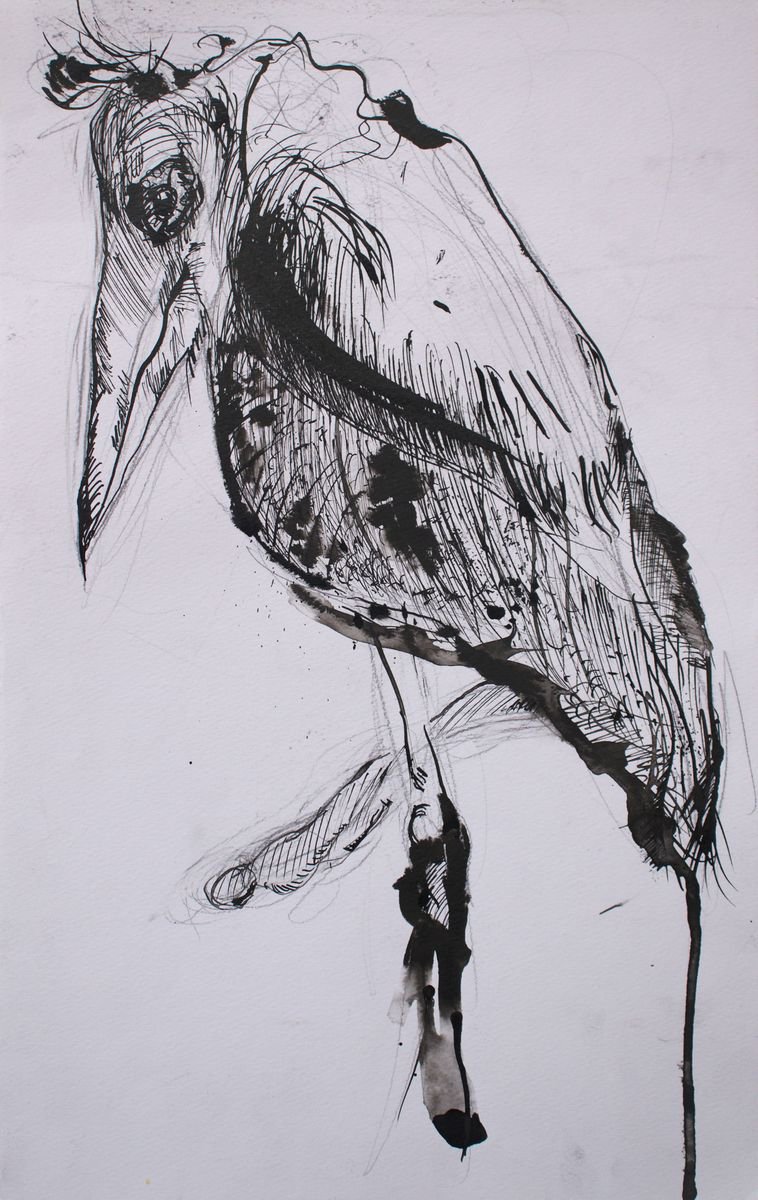 Impressionistic Animal Ink Drawing By Evgeniq Ivanova, 10 X 16, Raven, Original Artwork